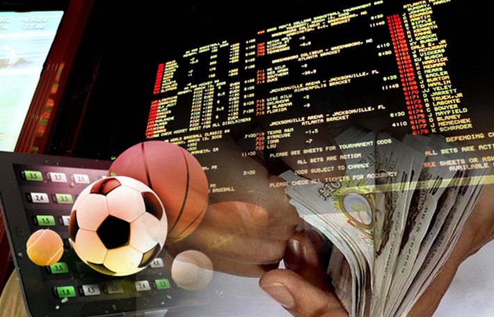 Discover the Exciting World of Moyo Bet Discover the Exciting World of Moyo Bet