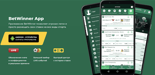 Experience the Thrill of Betwinner Live Bets